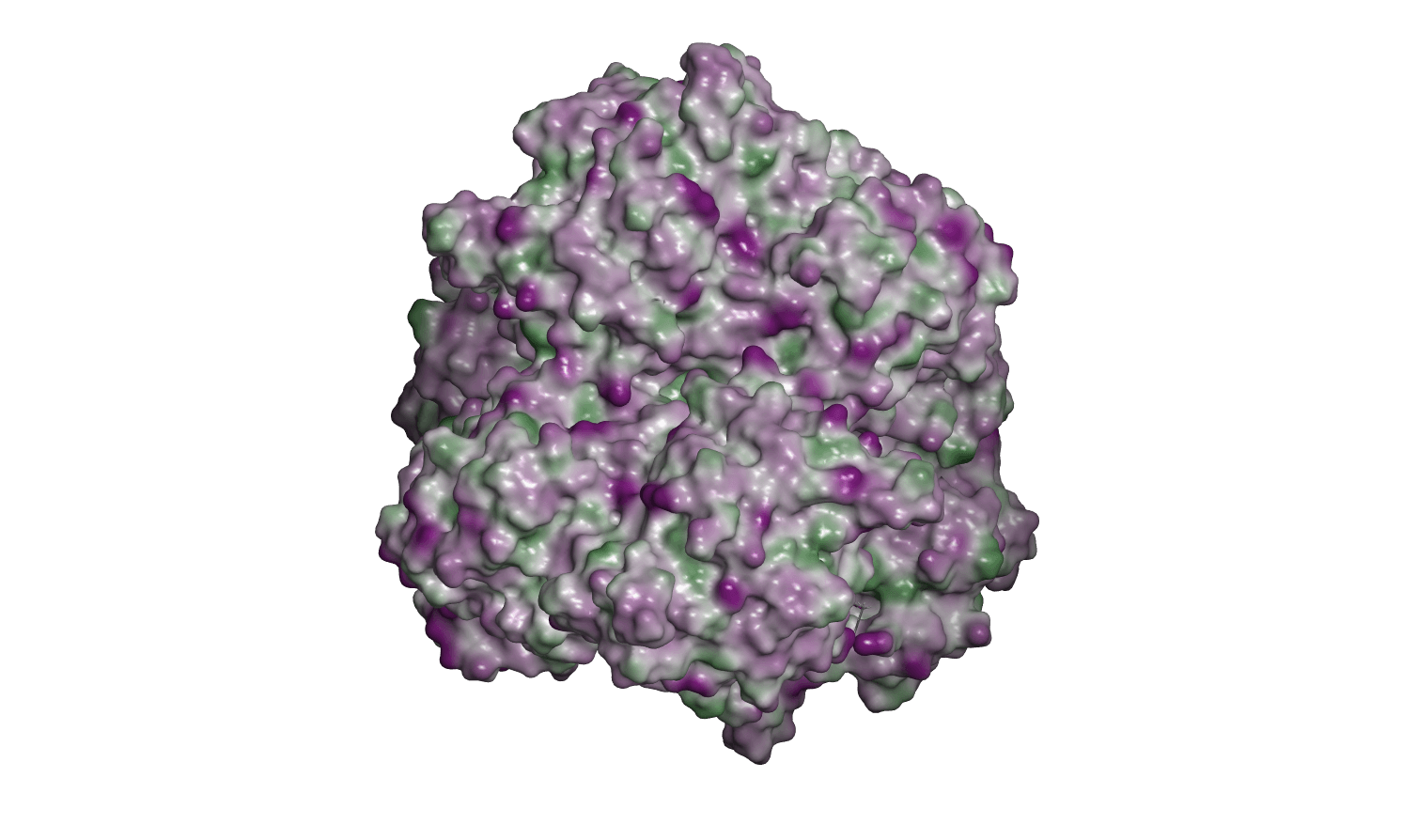 Protein 1