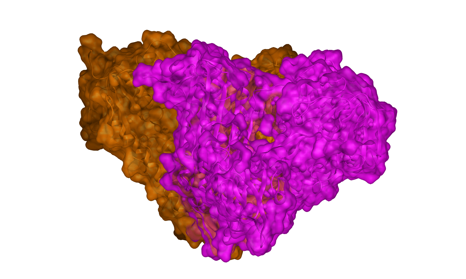 Protein 2