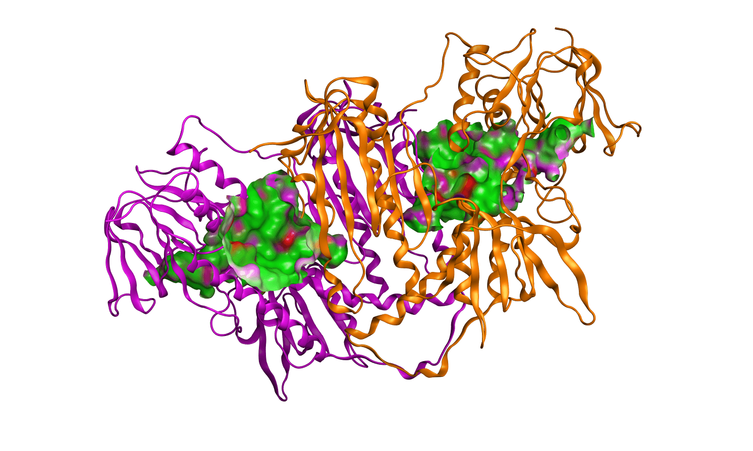 Protein 3