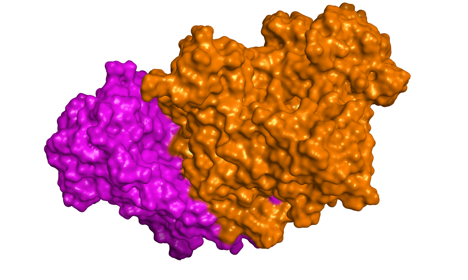 Protein 4